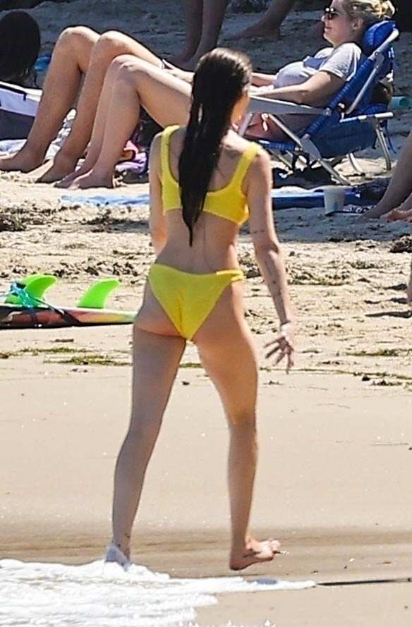 5BMQ5D_Dakota_Johnson___Bikini_in_Malibu_06232024_11.jpg 5BMQ5D_Dakota_Johnson___Bikini_in_Malibu_06232024_11.jpg