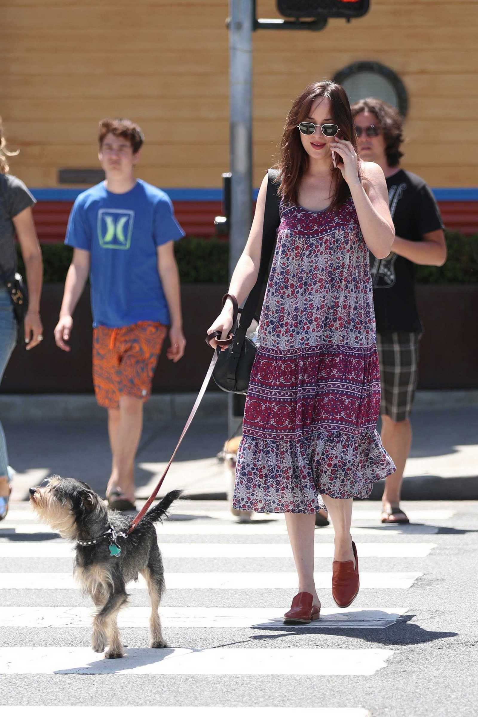 Dakota_Johnson_-_Out_and_about_in_Santa_Monica_on_April_21-04.jpg