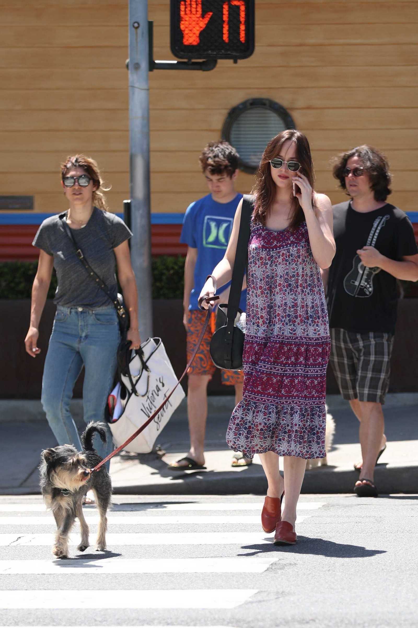 Dakota_Johnson_-_Out_and_about_in_Santa_Monica_on_April_21-06.jpg