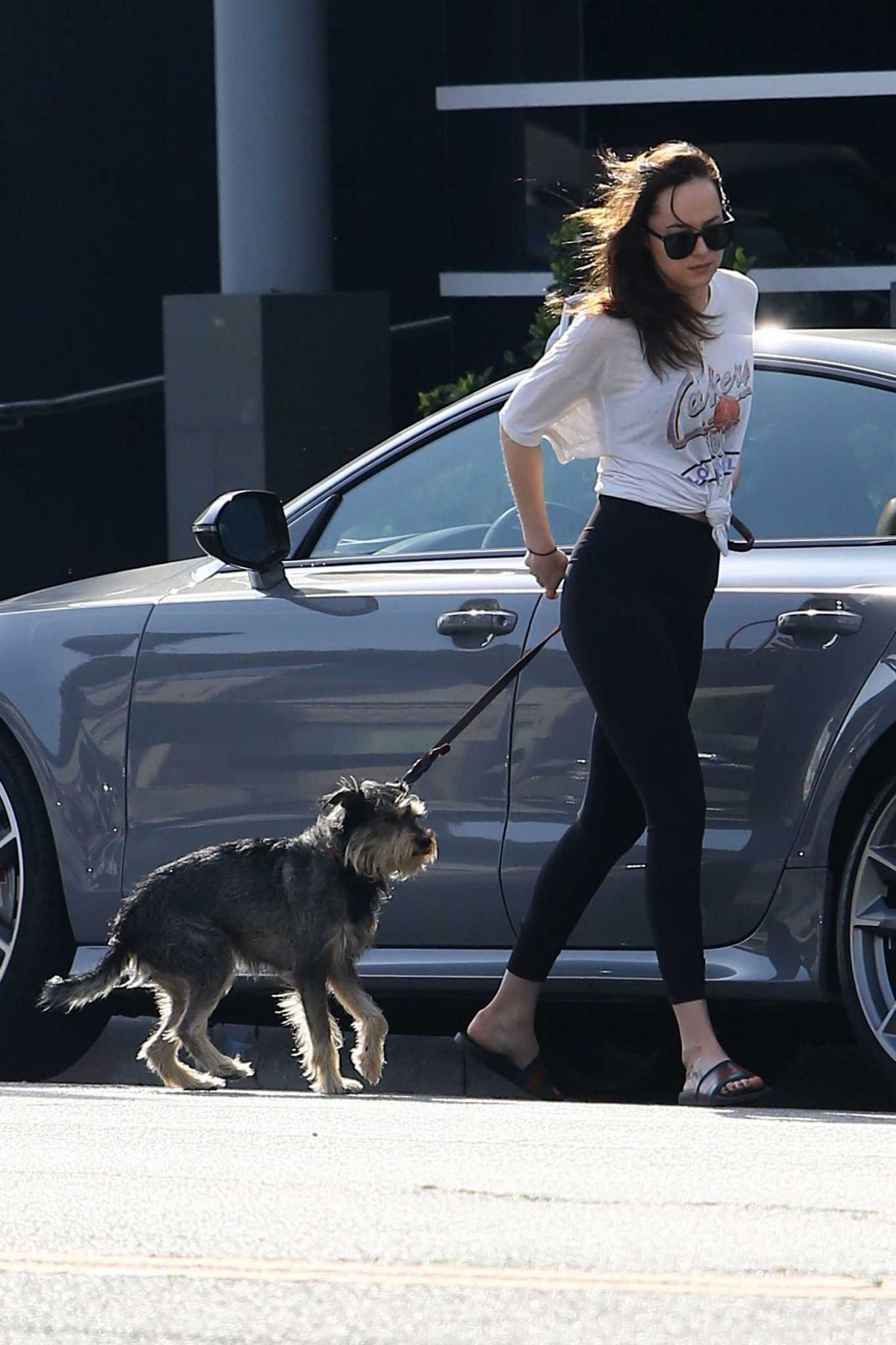 Dakota_Johnson_-_Out_with_her_dog_in_West_Hollywood_on_March_17-08.jpg Dakota_Johnson_-_Out_with_her_dog_in_West_Hollywood_on_March_17-08.jpg