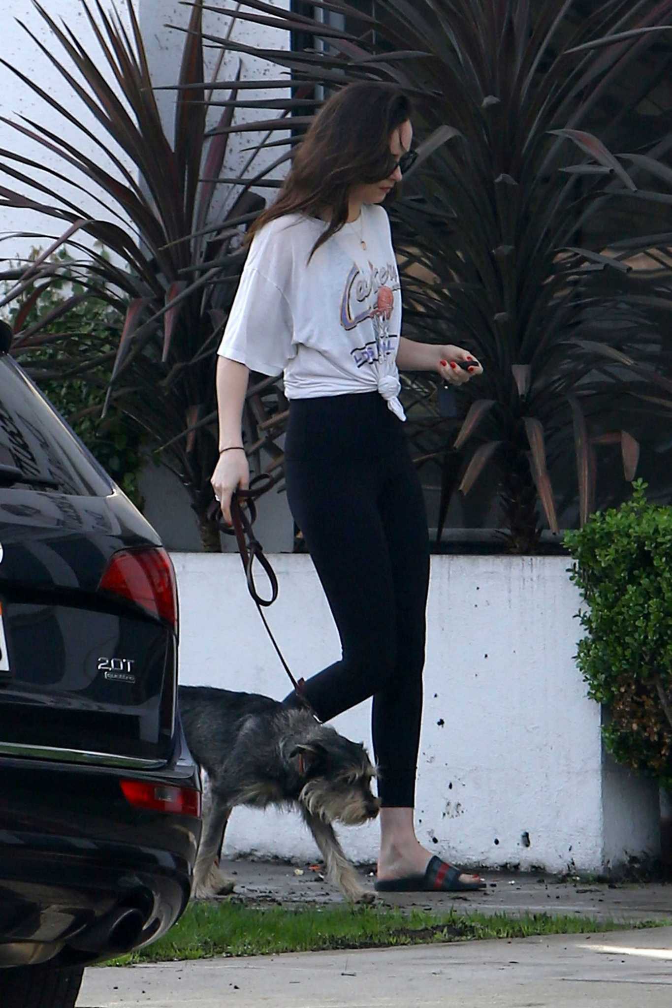Dakota_Johnson_-_Out_with_her_dog_in_West_Hollywood_on_March_17-09.jpg Dakota_Johnson_-_Out_with_her_dog_in_West_Hollywood_on_March_17-09.jpg