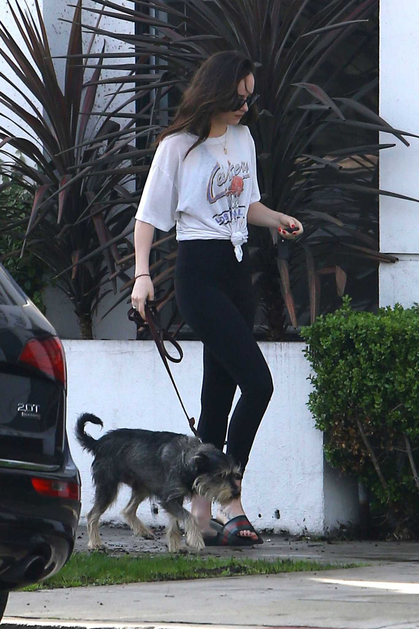 Dakota_Johnson_-_Out_with_her_dog_in_West_Hollywood_on_March_17-10.jpg Dakota_Johnson_-_Out_with_her_dog_in_West_Hollywood_on_March_17-10.jpg