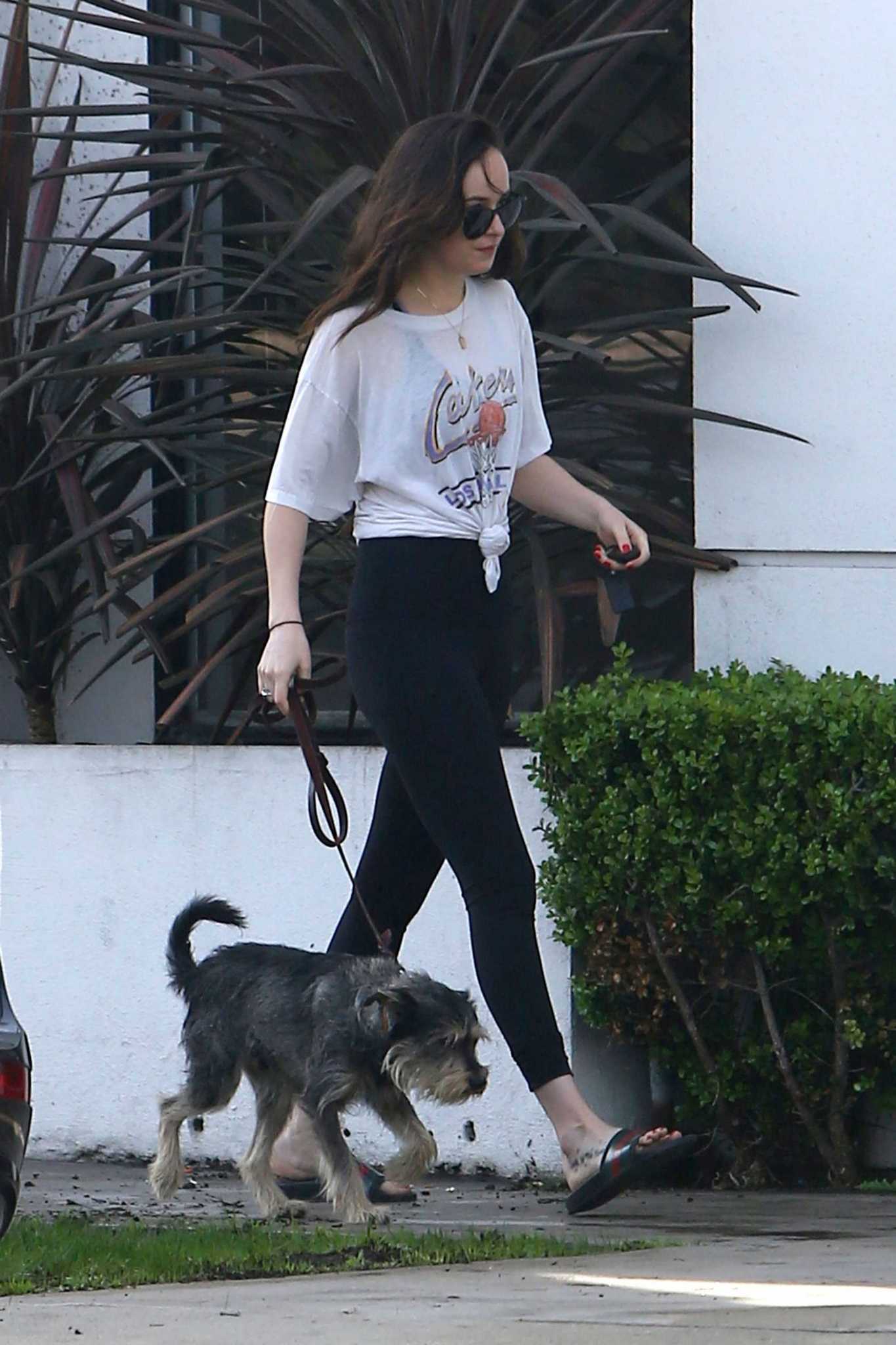 Dakota_Johnson_-_Out_with_her_dog_in_West_Hollywood_on_March_17-11.jpg Dakota_Johnson_-_Out_with_her_dog_in_West_Hollywood_on_March_17-11.jpg