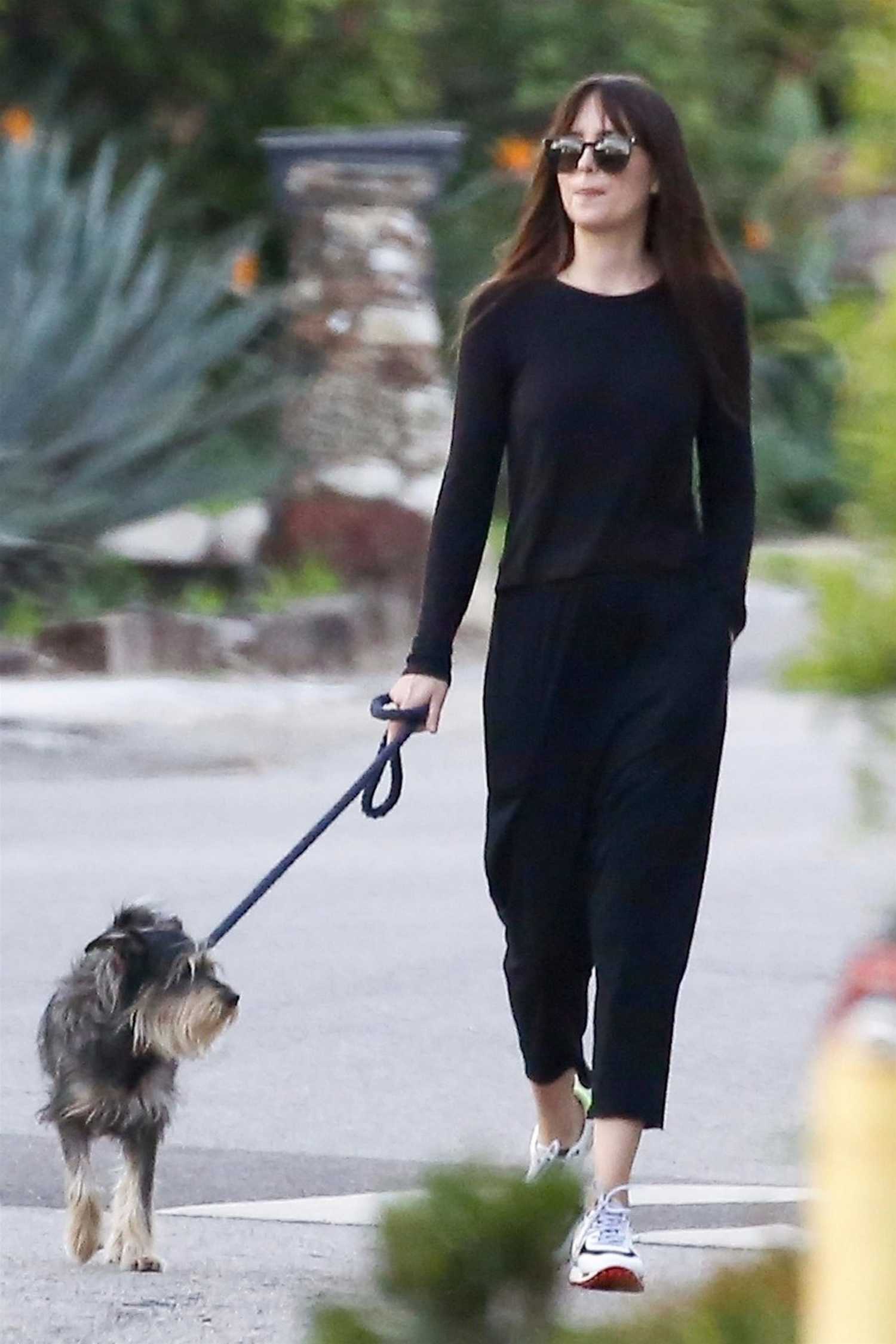 Dakota_Johnson_-_Smiling_wide_as_she_took_her_dog_out_for_a_walk_in_Malibu2C_CA_January_272C_2019-01.jpg