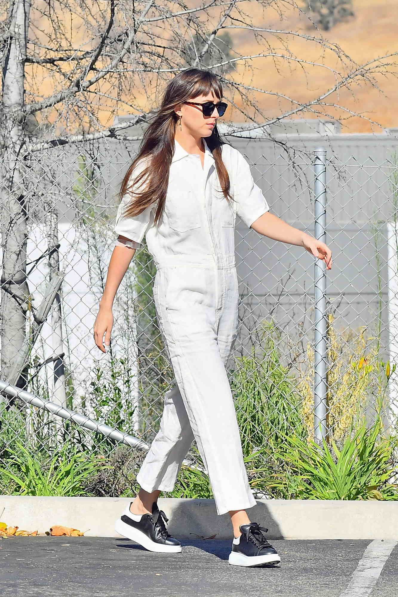 Leaves_a_grocery_store_in_Calabasas_-_September_134.jpg Leaves_a_grocery_store_in_Calabasas_-_September_134.jpg